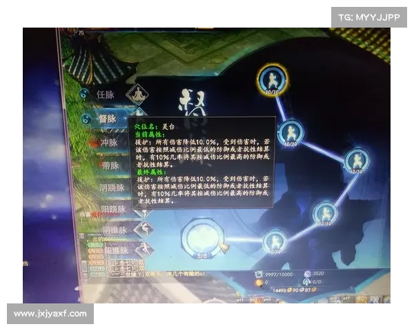 武魂玄冰加点策略详解及最佳搭配方案分析