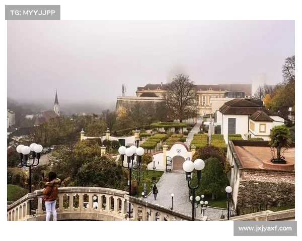 奥利塞多国血统的独特优势及其对个人发展与全球视野的影响