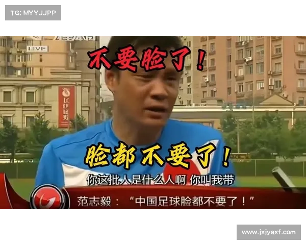 如何解读范志毅对中国国家足球队表现的评价及其深层次意义